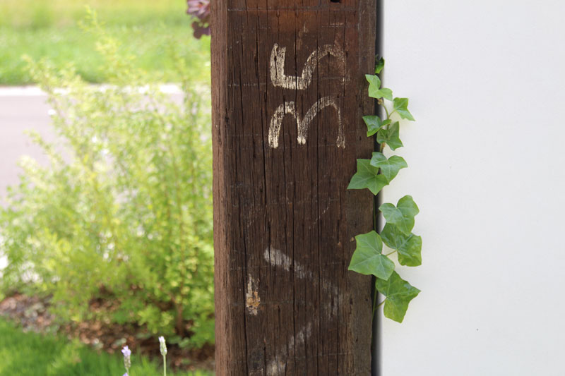 ガーデニングを愉しむ家