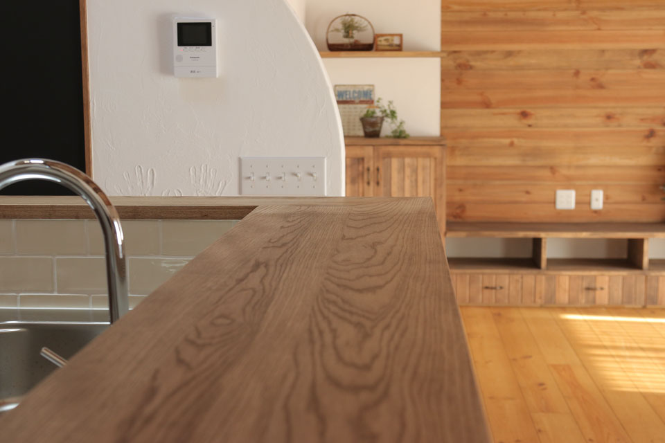 片流れの大屋根と中二階のある家