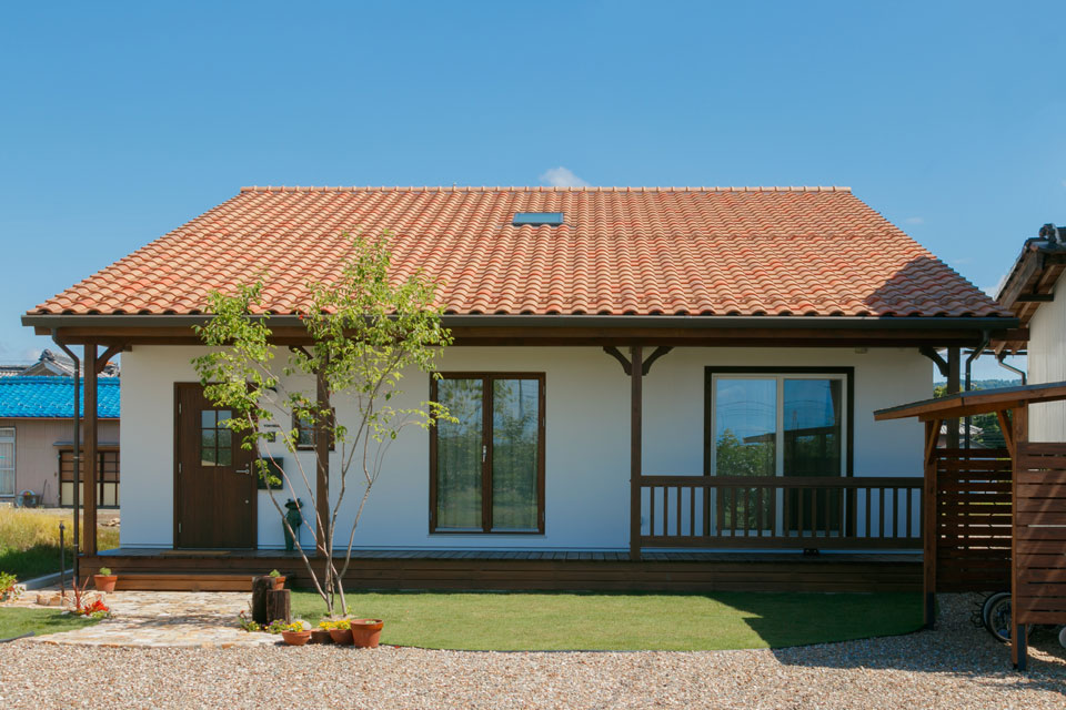 片流れの大屋根と中二階のある家