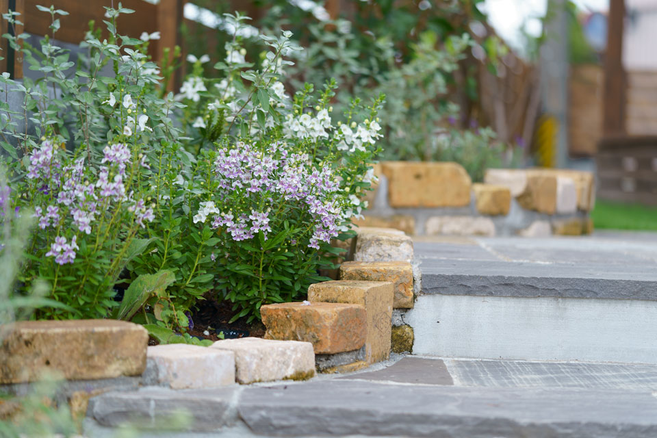 憧れの本棚のある家