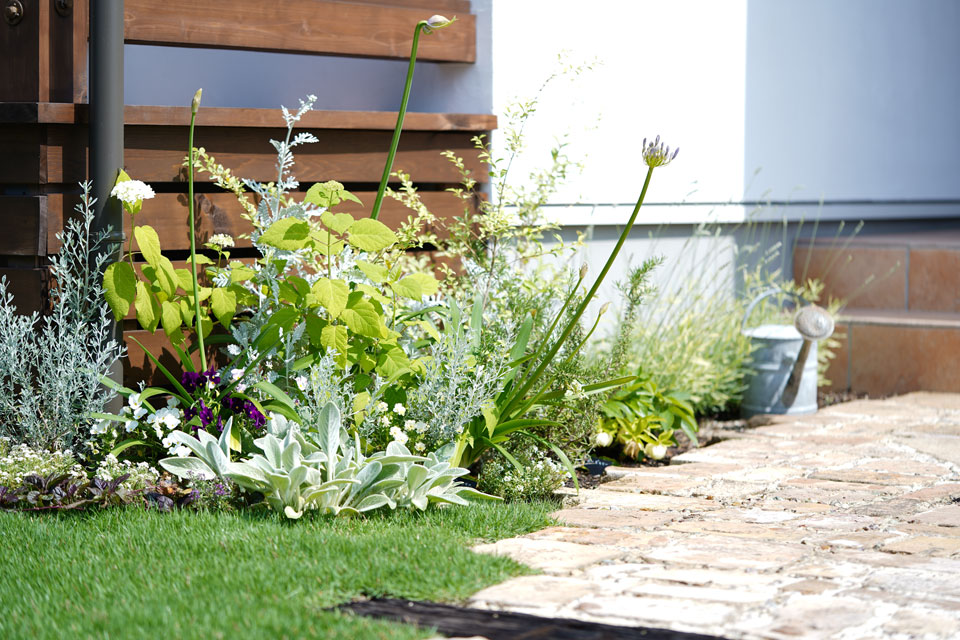 勾配天井の大空間LDKの家