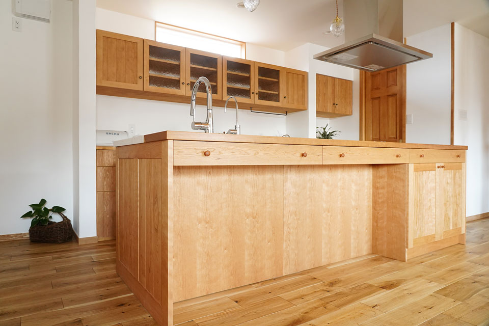 ビルトインガレージのある片流れ屋根の家