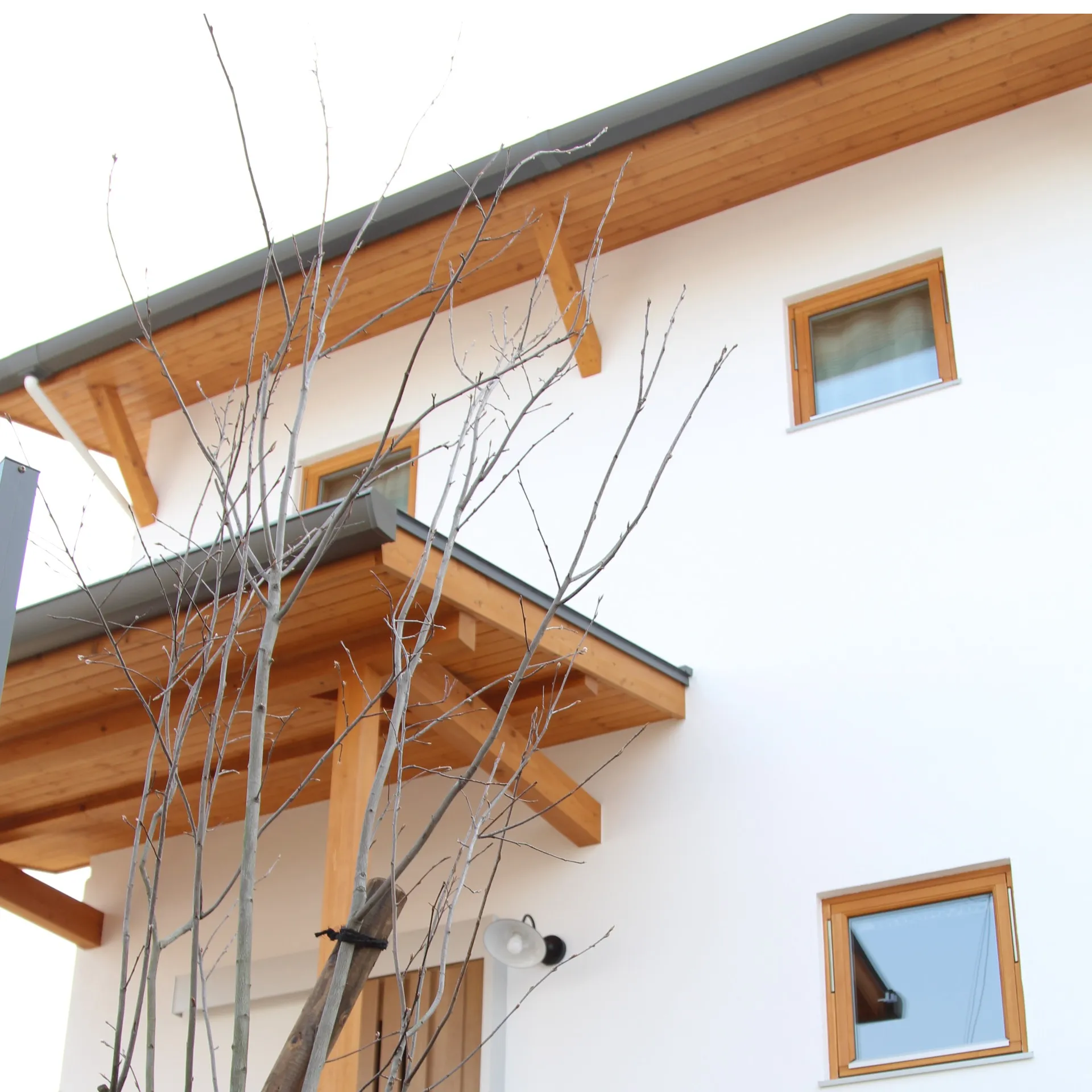 北欧スタイルのナチュラルハウス